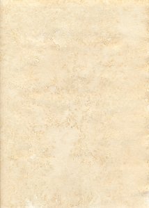Coffe_Paper_Texture_by_Elenmire